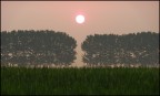 savana padana savana padana