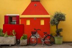colori colori