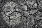 Acqua Acqua