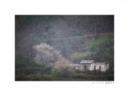 An old house