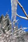 ...brrrr! ...brrrr!
