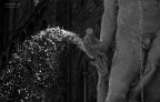 Fontana Nettuno Firenze Fontana Nettuno Firenze