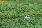 Profondità di campo Profondità di campo