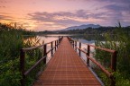 Pontile Pontile