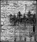 ..Linee..Ferro..