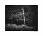 A sense of no light