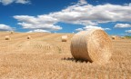Rotoballe Rotoballe