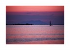 Pink and Dream Pink and Dream
