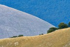 Paesaggio lineare Paesaggio lineare
