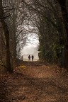 verso la luce verso la luce