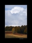Sweet Autumn