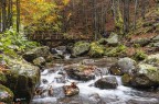 Il torrente e i suoi colori d'autunno2