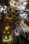 Il bosco di Gaudí Il bosco di Gaudí