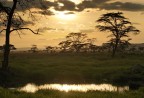 Laggiù nel Serengeti Laggiù nel Serengeti