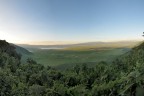 Il "Burrone Profondo", in Swaili questo significa Ngorongoro. Un enorme cratere di un vulcano estinto dal diametro di pi� di 10 km a 2.200 m di altitudine, area naturale protetta e patrimonio dell'Unesco. Laggi�, oltre la foresta, vivono in pace solo gli animali. Tranne le giraffe, per loro l'accesso al paradiso � vietato, il loro sistema circolatorio non gli consente di arrivare a quelle altitudini.