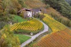 I colori dell'autuno I colori dell'autuno