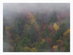 nebbie e colori d'autunno nebbie e colori d'autunno