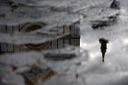 Riflesso Riflesso