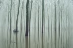 Autunno Autunno