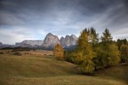 Alpe di Siusi Alpe di Siusi