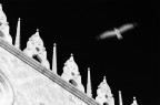Il volo ducale Il volo ducale