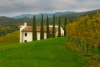 Nella campagna della Valpolicella Nella campagna della Valpolicella