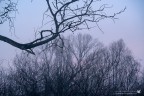Il braccio dell'alba Il braccio dell'alba