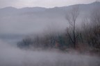 nella nebbia 2 nella nebbia 2