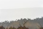 St