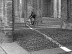 fotofinish