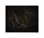 Shapes in the dark