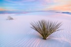 White Dunes White Dunes