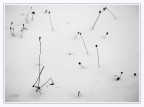 Inverno minimale Inverno minimale