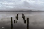Una mattina uggiosa.. Lago Puccini. Una mattina uggiosa.. Lago Puccini.