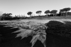 Selva_Paliano_FR_261219 Selva_Paliano_FR_261219
