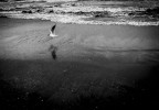 inverno inverno