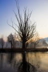 Alba sul fiume... Alba sul fiume...