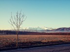 Alps landscape