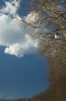 Roma_2016 Roma_2016