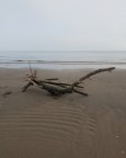 Lignano Lignano