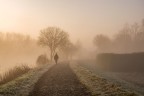 sola nella nebbia sola nella nebbia