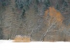 St