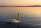Tramonto lacustre