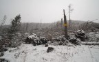 Tempesta Vaia un anno dopo Tempesta Vaia un anno dopo
