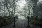 Mancar la simmetria ma non la nebbia