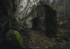Rovine Rovine
