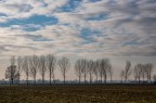 Lombardia, 31/01