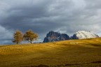 Aspettando l'inverno Aspettando l'inverno