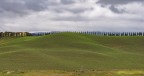 Collina e cipressi.. Collina e cipressi..