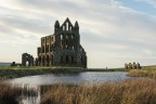 Whitby Abbey